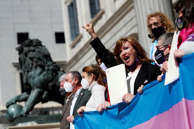 El colectivo trans denuncia ante el Congreso el «retraso injustificado» de la ley LGTBI