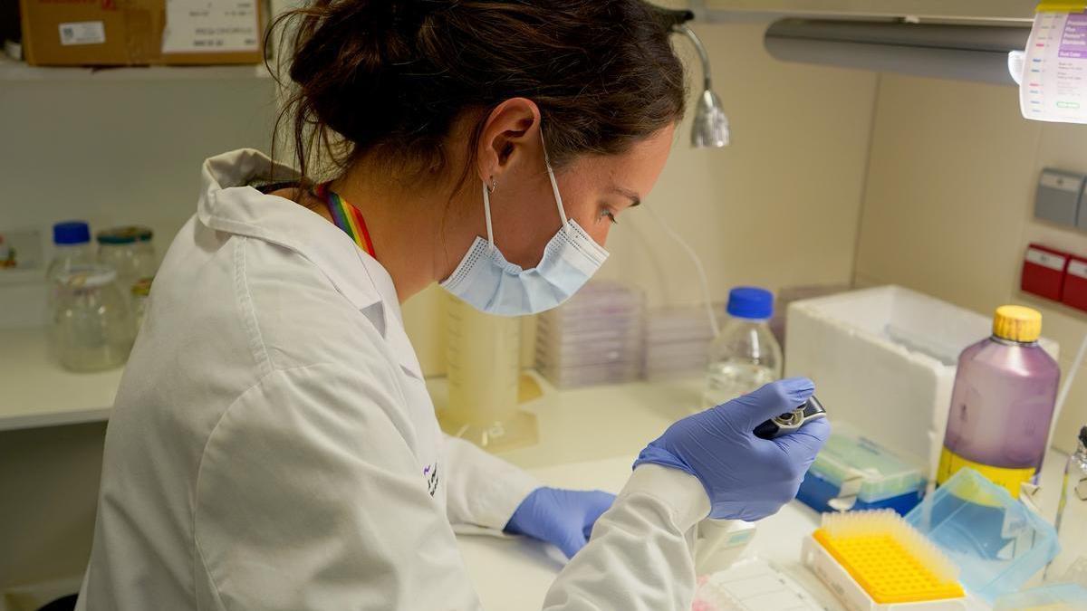 El ‘arma secreta’ digital del Gobierno para revolutionar la research El ‘arma secreta’ digital del Gobierno para revolutionar la research