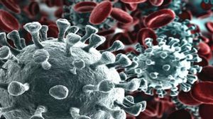 El Coronavirus, una pandemia global El Coronavirus, una pandemia global