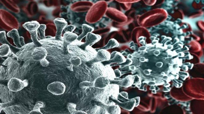 El Coronavirus, una pandemia global El Coronavirus, una pandemia global