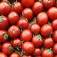 Si ves esto en un tomate, tíralo de inmediato