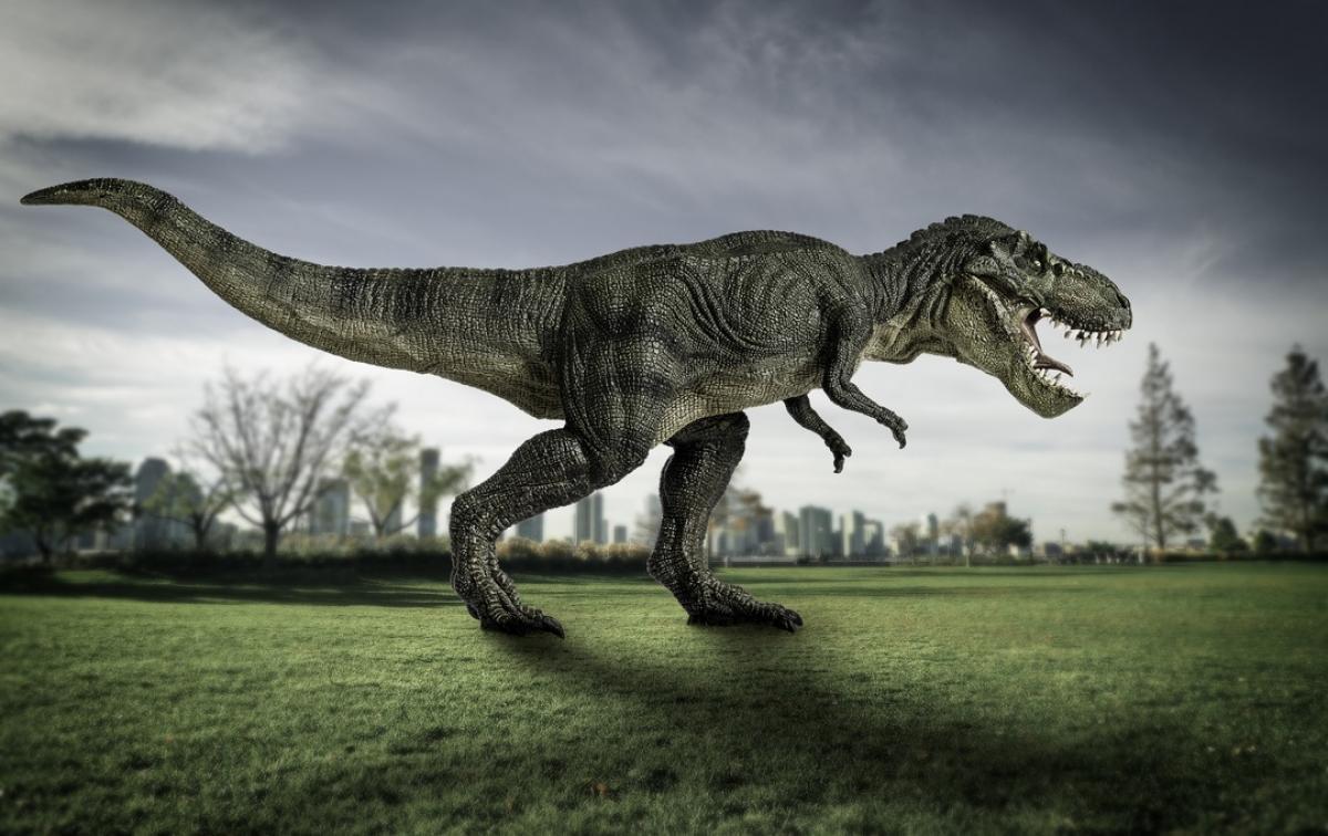La velocidad real a la que caminaba el Tiranosaurio rex se parece poco a la  vista en cine