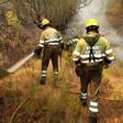 Bomberos forestales refrescan una zona todavía humeante del incendio de Bejís.
