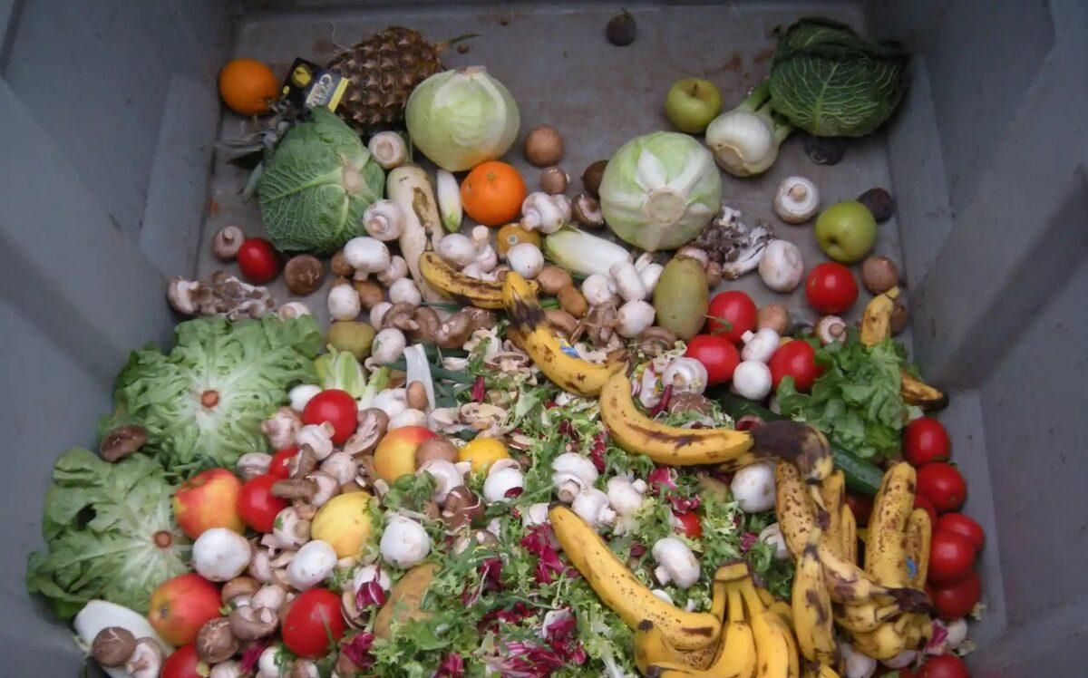 Nueva ley: multas de 150.000 euros por desperdiciar alimentos Nueva ley: multas de 150.000 euros por desperdiciar alimentos