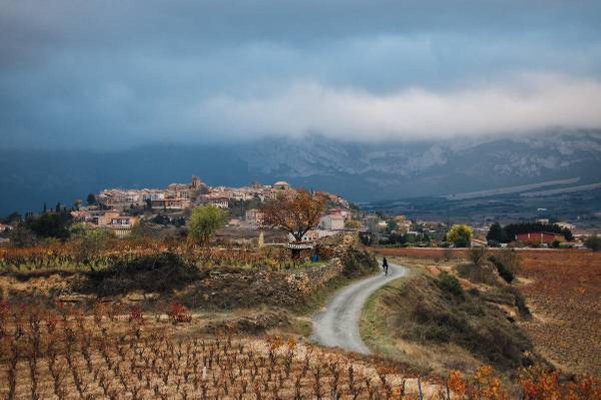 La Orbea Gravel Rioja Alavesa, ya tienes cita para el otoño 2022