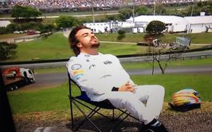 fernando alonso toma