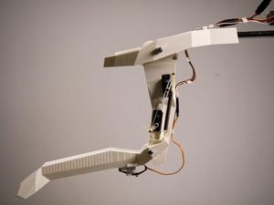 Robots bioinspirados aprenden de las libélulas Robots bioinspirados aprenden de las libélulas
