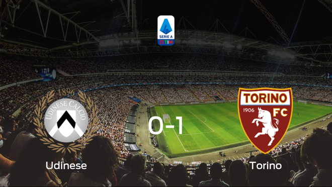 El Torino se impone al Udinese y consigue los tres puntos (0-1) El Torino se impone al Udinese y consigue los tres puntos (0-1)