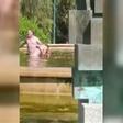 Intenta ahogar a una mujer en la fuente de un parque de Valencia.