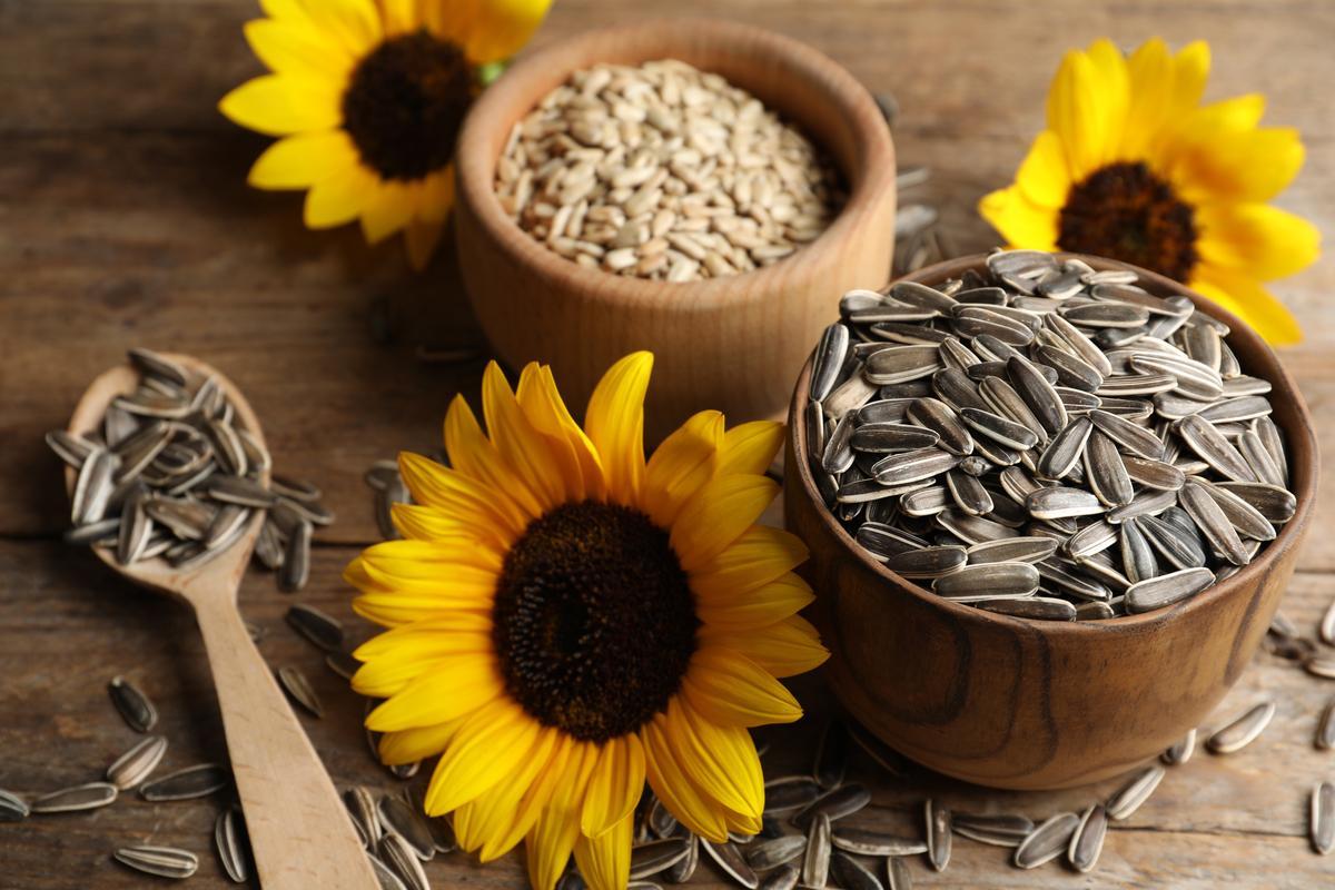 Pipas de girasol en Navidad, un aliado necesario