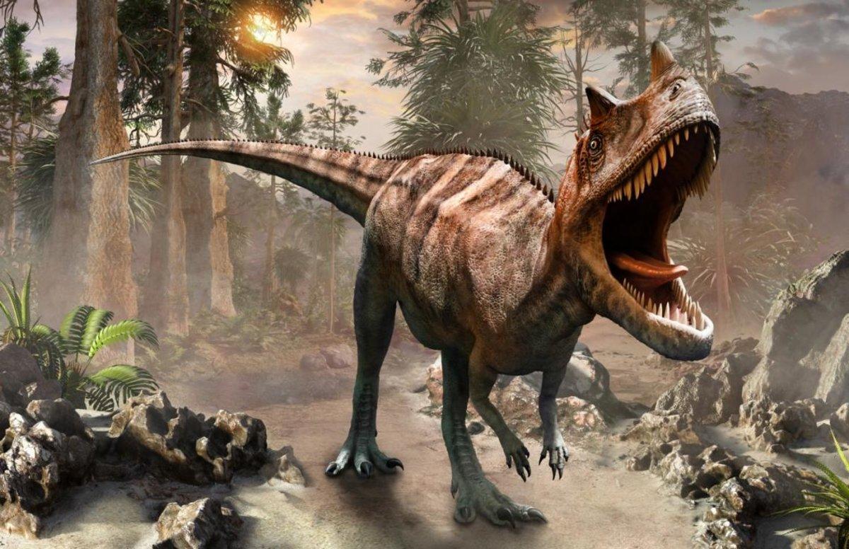 Cientificos Canadienses Hallan Cancer Oseo En Un Fosil De Un Dinosaurio