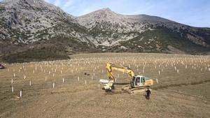 España tendrá 15 nuevos bosques resistentes a los incendios forestales