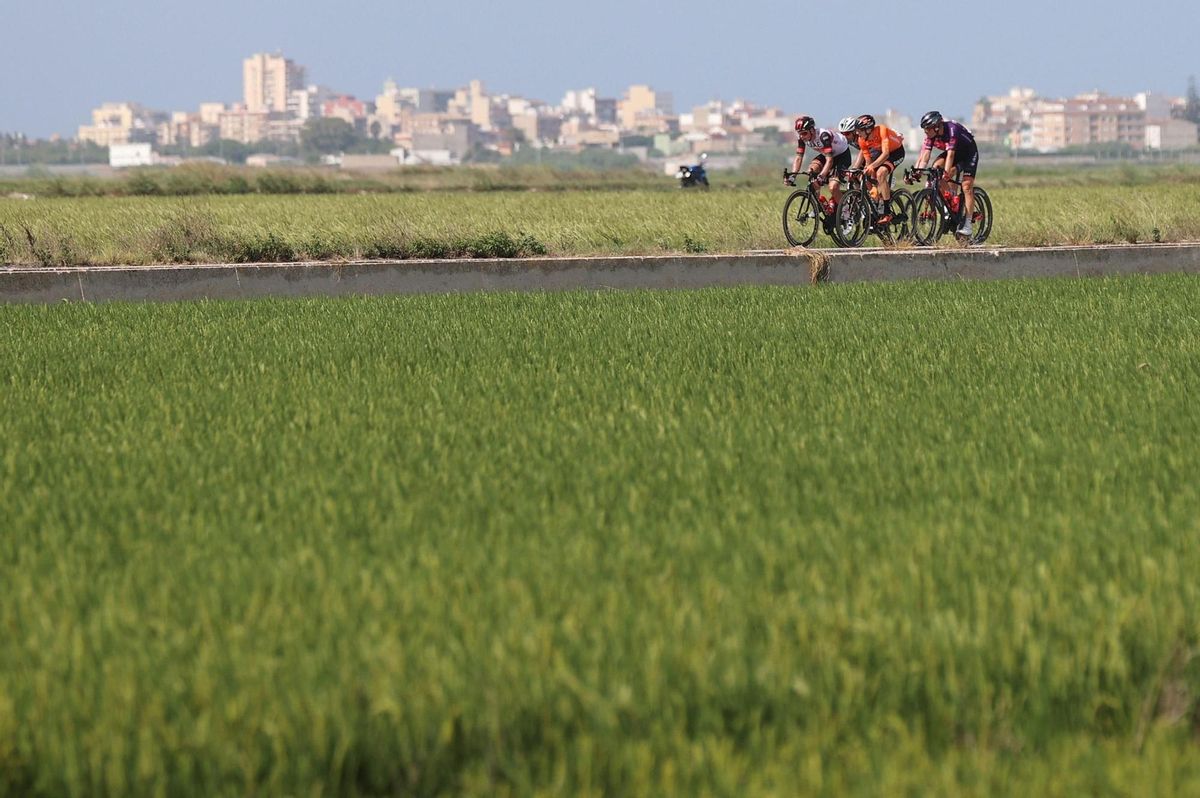 Ciclistas en una etapa de la Vuelta a España 2021. Ciclistas en una etapa de la Vuelta a España 2021.