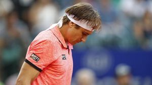 David Ferrer David Ferrer