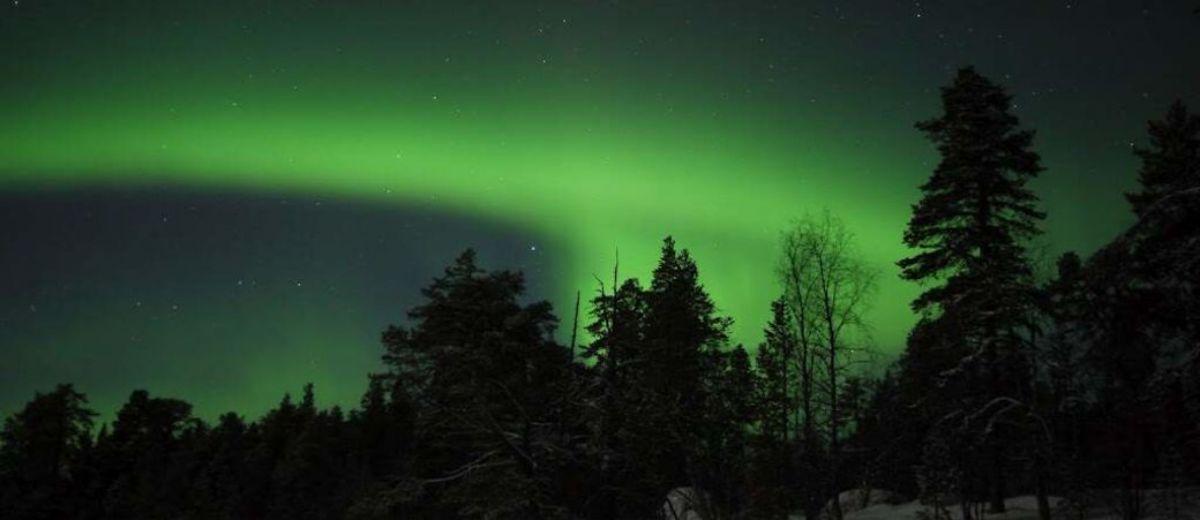 Un cielo nocturno con la aurora boreal visible detrás de las siluetas de los árboles. El fenómeno fue registrado en Inari (Tirro), Finlandia.