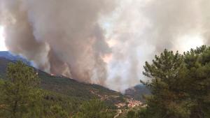 Incendios forestales: ¿Qué consecuencias tienen sobre nuestra salud?