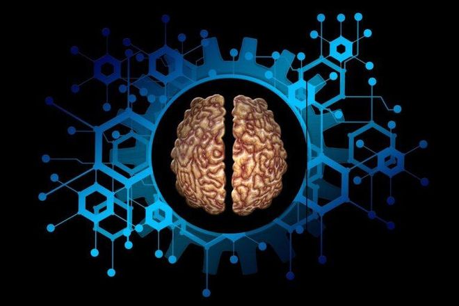 Un nuevo sistema neuroelectrónico lee y modifica circuitos cerebrales Un nuevo sistema neuroelectrónico lee y modifica circuitos cerebrales