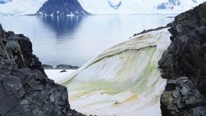 La costa de la Antártida se vuelve verde por el calor La costa de la Antártida se vuelve verde por el calor