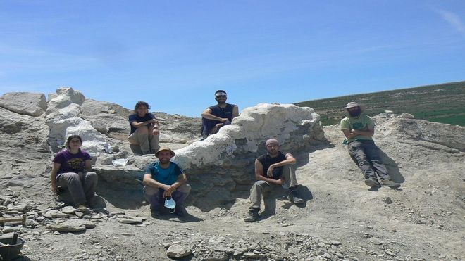 Descubren cinco metros de columna vertebral de dinosaurio en Teruel Descubren cinco metros de columna vertebral de dinosaurio en Teruel