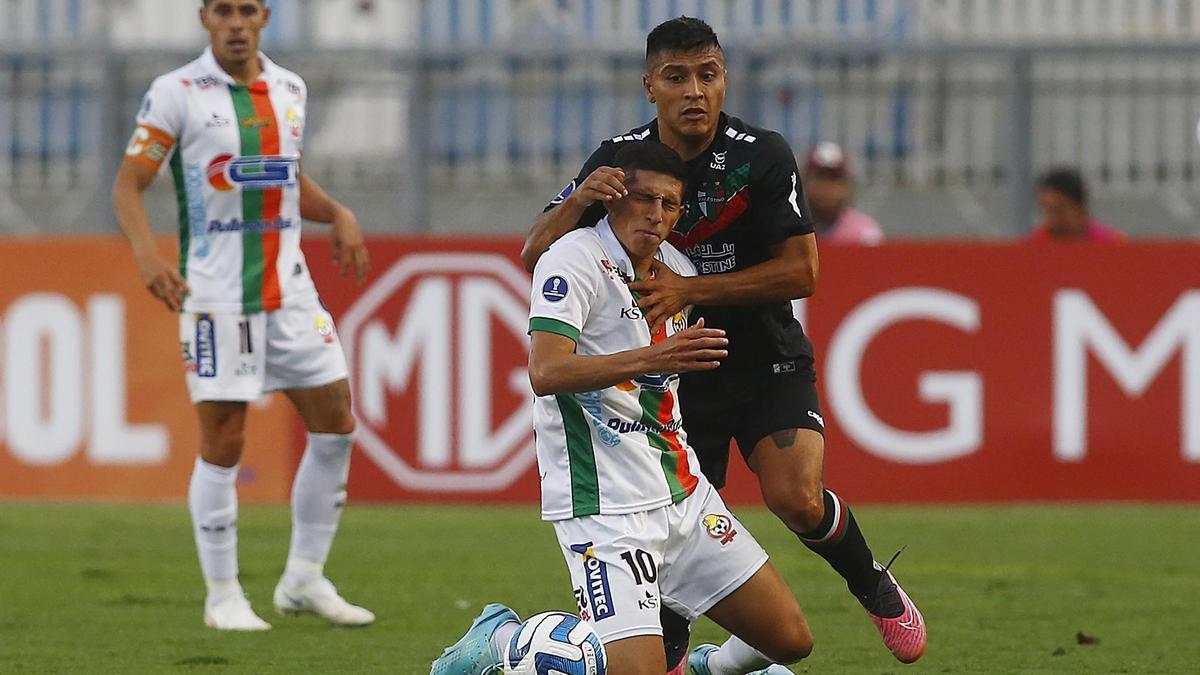 Fútbol, ​​Copa Sudamericana |  Blooming, Palestina y Tolima pasan a la fase de grupos