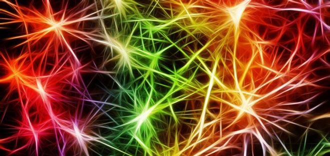 Día Mundial del Parkinson: uno de cada seis nuevos diagnósticos es menor de 50 años Día Mundial del Parkinson: uno de cada seis nuevos diagnósticos es menor de 50 años