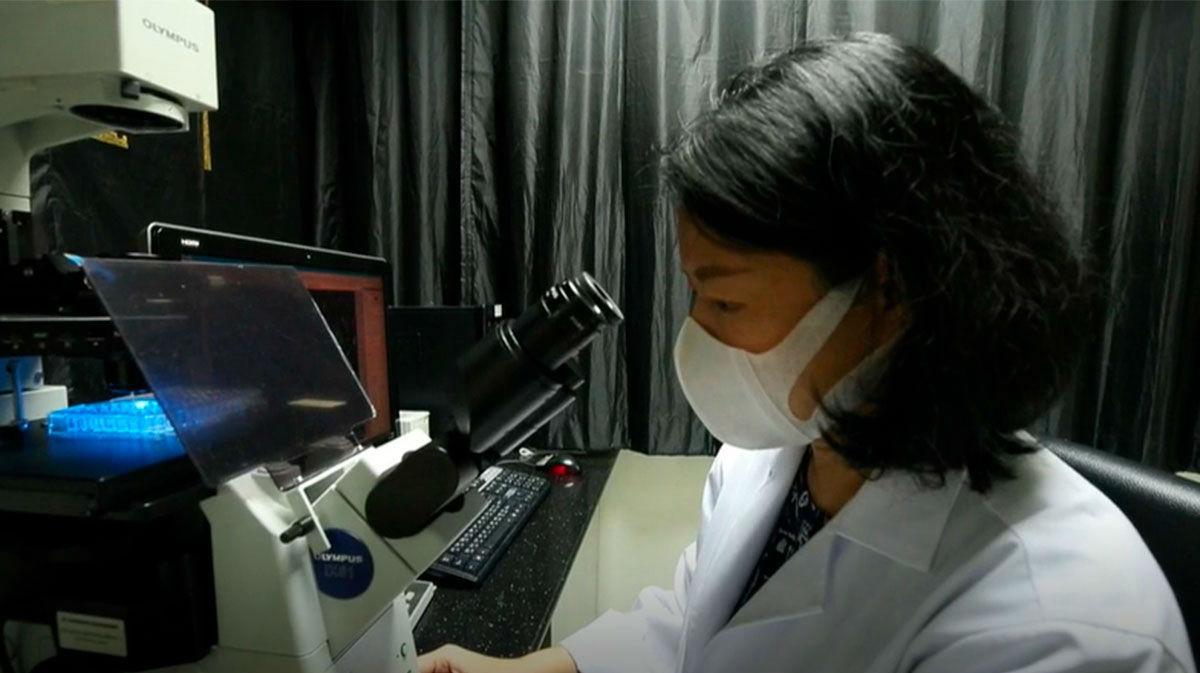 Tailandia prueba un prototipo de vacuna contra el coronavirus