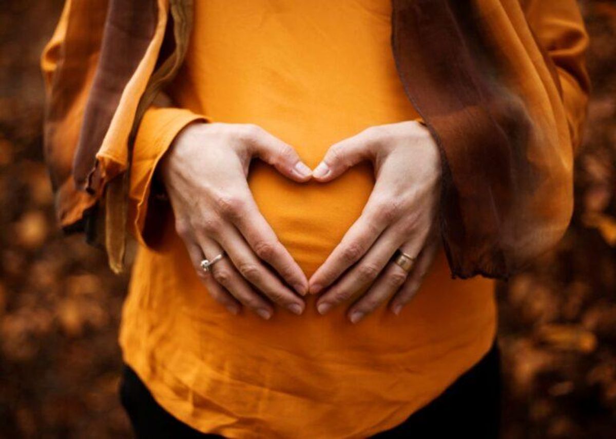 Descubren un circuito neuronal relacionado con la fertilidad femenina y la menopausia Descubren un circuito neuronal relacionado con la fertilidad femenina y la menopausia