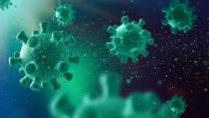 La OMS advierte sobre la próxima pandemia: ¿estamos preparados para luchar contra un patógeno “aún más mortal”?
