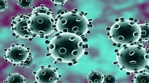 El diablo ya está aquí, la variante del coronavirus más peligrosa está en California El diablo ya está aquí, la variante del coronavirus más peligrosa está en California