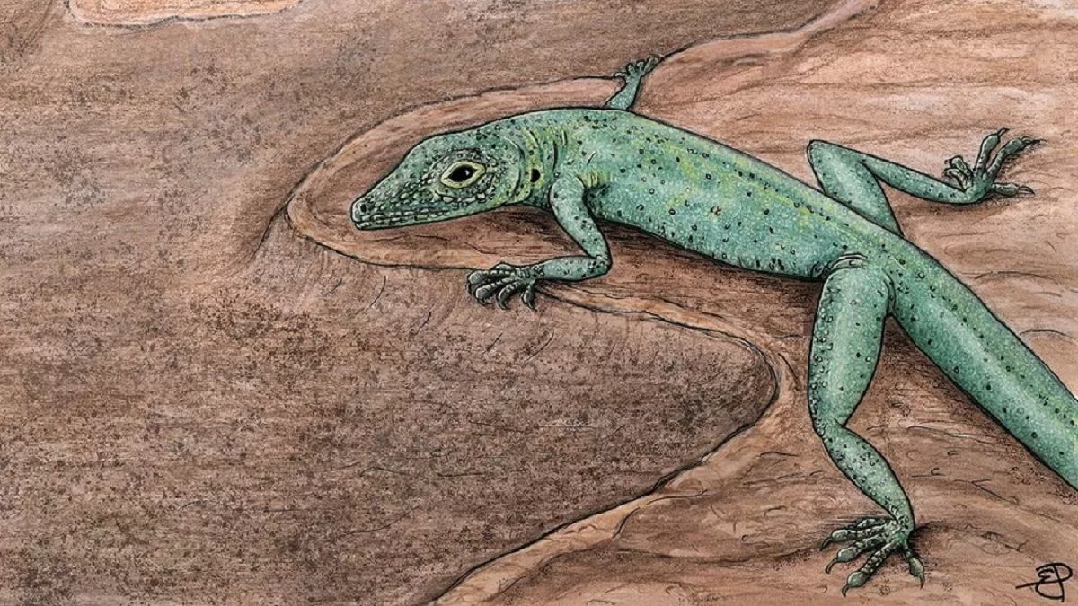 Fossil remains found in England will help tell lizard story