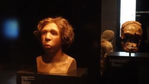El busto de Homo neanderthalensis en el Museo de Pérgamo en Berlin muestra un antepasado del hombre moderno.