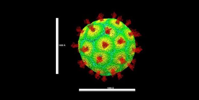 ¿La variante Delta está cambiando los síntomas del coronavirus? ¿La variante Delta está cambiando los síntomas del coronavirus?