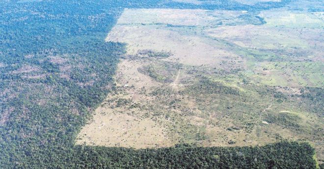 El Amazonas, peor que nunca El Amazonas, peor que nunca