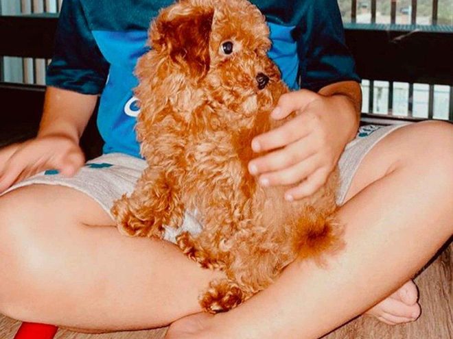 Antonela Roccuzzo comparte una fotografía con Abú, el nuevo perro de los Messi Antonela Roccuzzo comparte una fotografía con Abú, el nuevo perro de los Messi