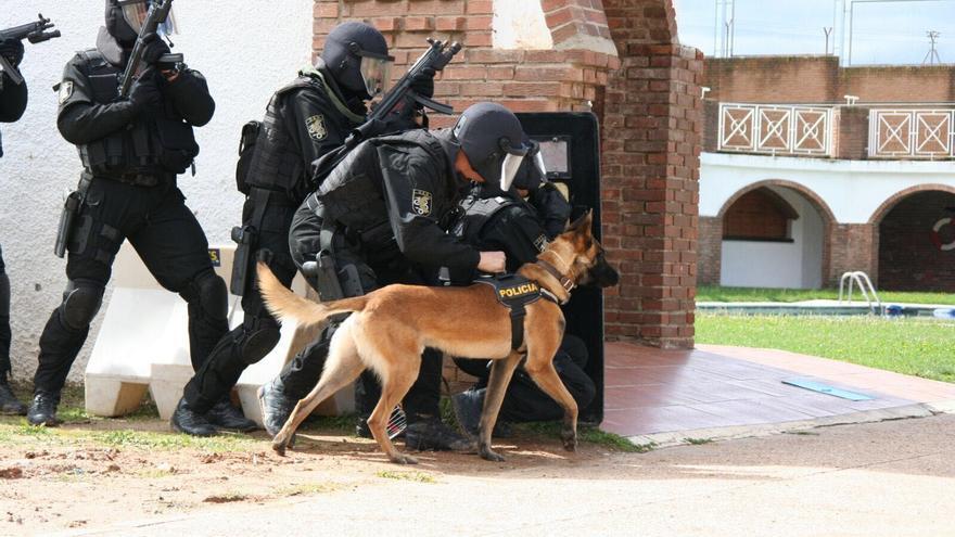 Diese 11 Polizeihunde ziehen sich zurück und suchen Familien, um sie zu adoptieren