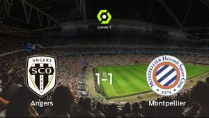 El SCO Angers y el Montpellier se reparten los puntos y empatan 1-1 El SCO Angers y el Montpellier se reparten los puntos y empatan 1-1