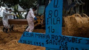 La nueva amenaza del coronavirus es brasileña, se llama P.1 y es muy preocupante La nueva amenaza del coronavirus es brasileña, se llama P.1 y es muy preocupante