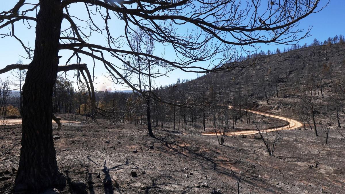 La titánica labor de los bomberos evita que el incendio de Castellón entre en parajes protegidos