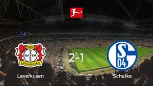 Triunfo del Bayer Leverkusen por 2-1 ante el Schalke 04 Triunfo del Bayer Leverkusen por 2-1 ante el Schalke 04