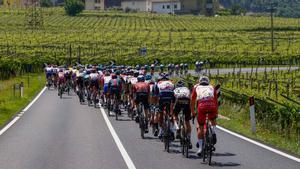 Los corredores del Giro de Italia