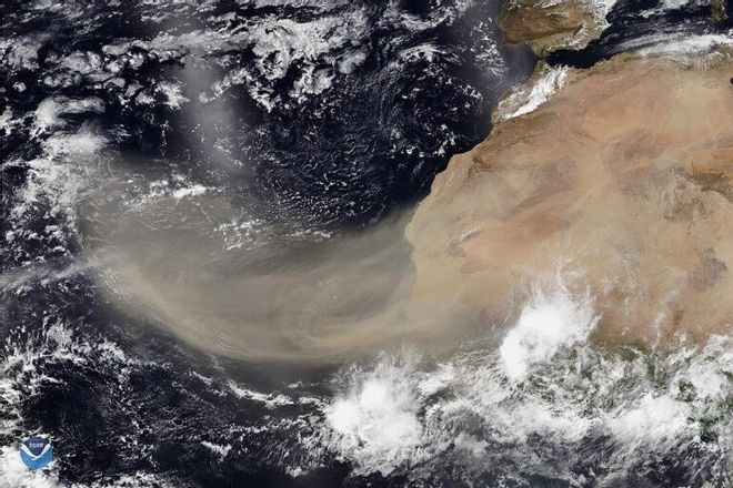 ¿Cómo llega la calima del Sahara hasta el Amazonas? ¿Cómo llega la calima del Sahara hasta el Amazonas?