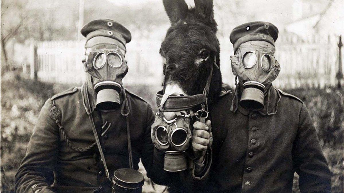 Fértil Gorrión Guardia La tecnología de las máscaras de gas en la Gran Guerra