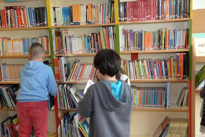 «Una plataforma digital no puede sustituir a una biblioteca»: más de 200 investigadores defienden el libro en papel en el colegio