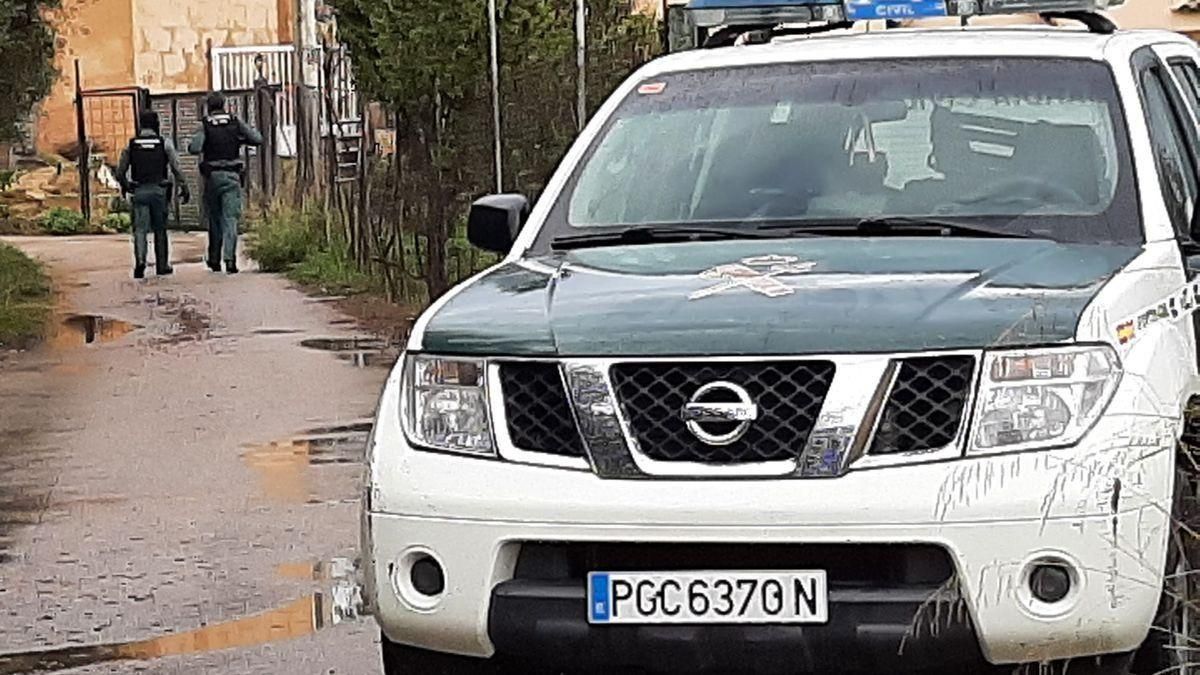 Operación contra la venta ilegal de animales en Palma. / L.M. Operación contra la venta ilegal de animales en Palma. / L.M.