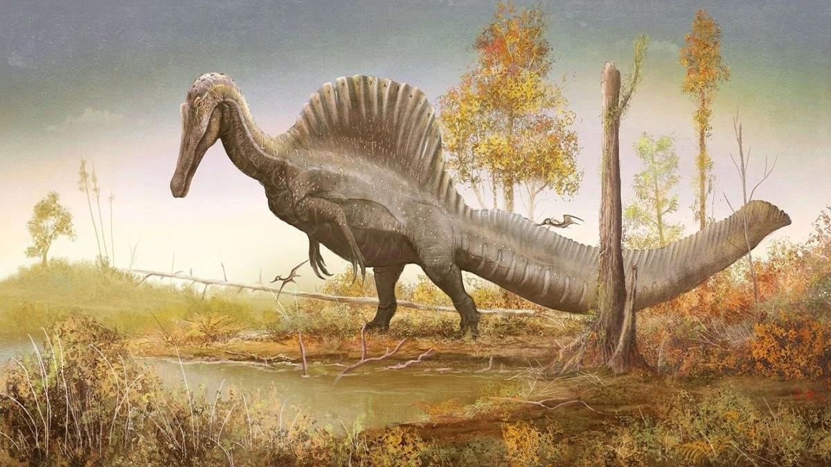 Así es el dinosaurio carnívoro más grande de Europa encontrado en la Isla  de Wight