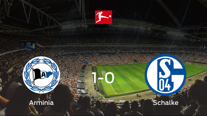 Triunfo 1-0 del Arminia Bielefeld ante el Schalke 04 Triunfo 1-0 del Arminia Bielefeld ante el Schalke 04