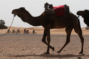 La Titan Desert volverá a Marruecos en 2021 La Titan Desert volverá a Marruecos en 2021
