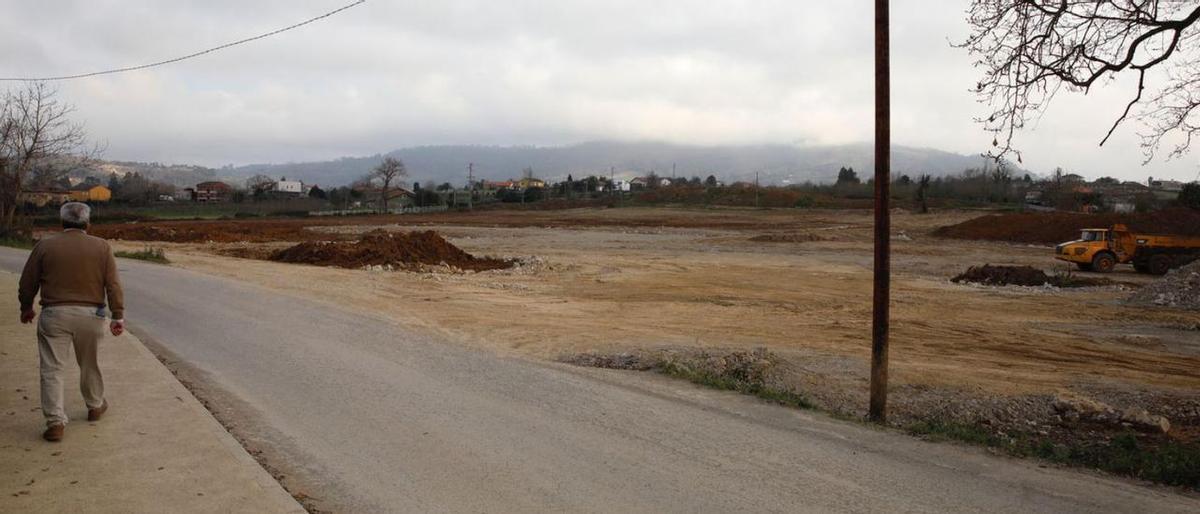 Paralizada la construcción de 73 chalés en Asturias debido a una demanda  por la tala de árboles