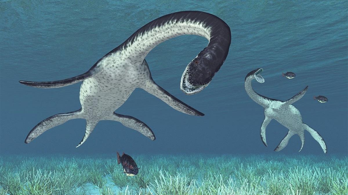 Hallado en Australia interesante fósil de un reptil marino de la época de  los dinosaurios