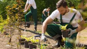 Ofertas de empleo para profesionales autónomos del sector de la jardinería.